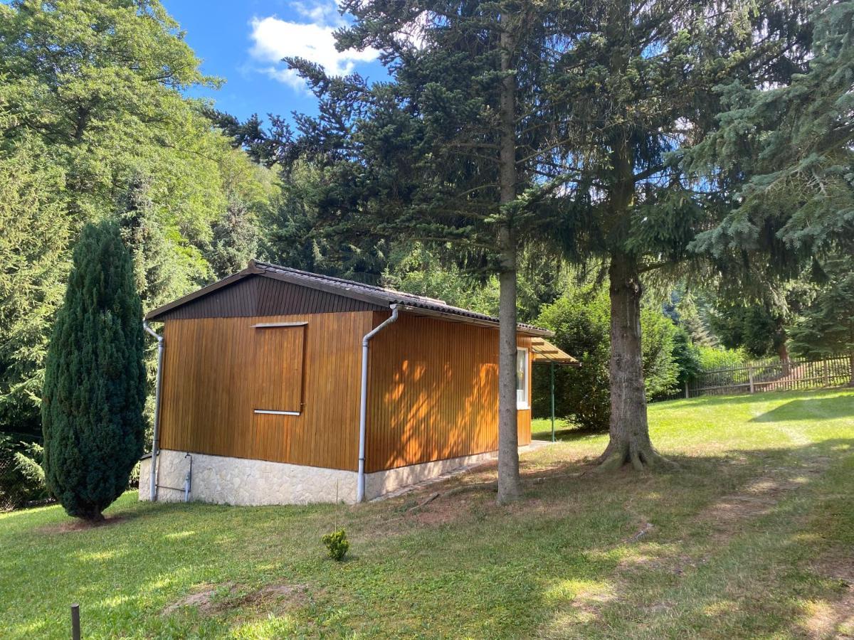 Waldfrieden Bungalow Garnsdorf エクステリア 写真