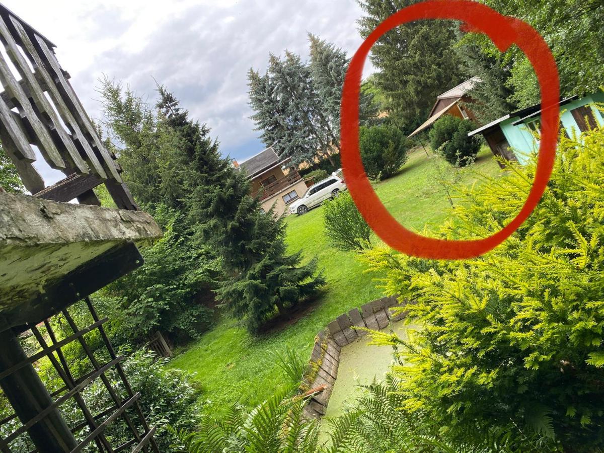 Waldfrieden Bungalow Garnsdorf エクステリア 写真