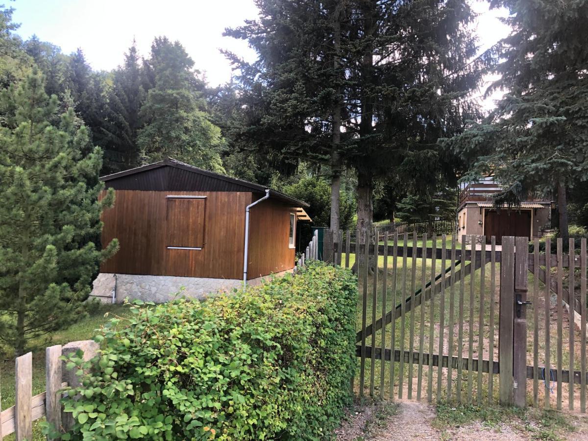 Waldfrieden Bungalow Garnsdorf エクステリア 写真