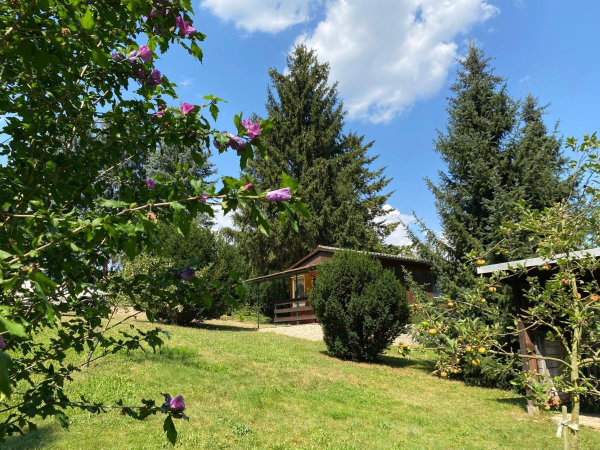 Waldfrieden Bungalow Garnsdorf エクステリア 写真